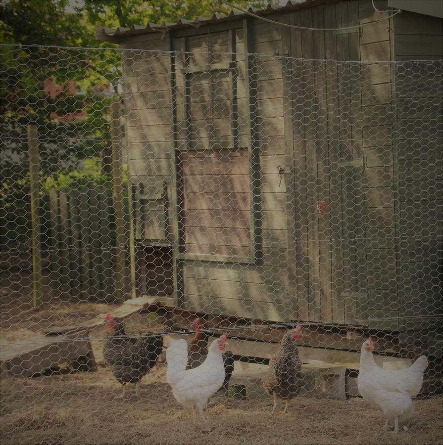 Forest Farm Papplewick Nottingham - Spacious Self-Contained Rural Retreat! Buitenkant foto